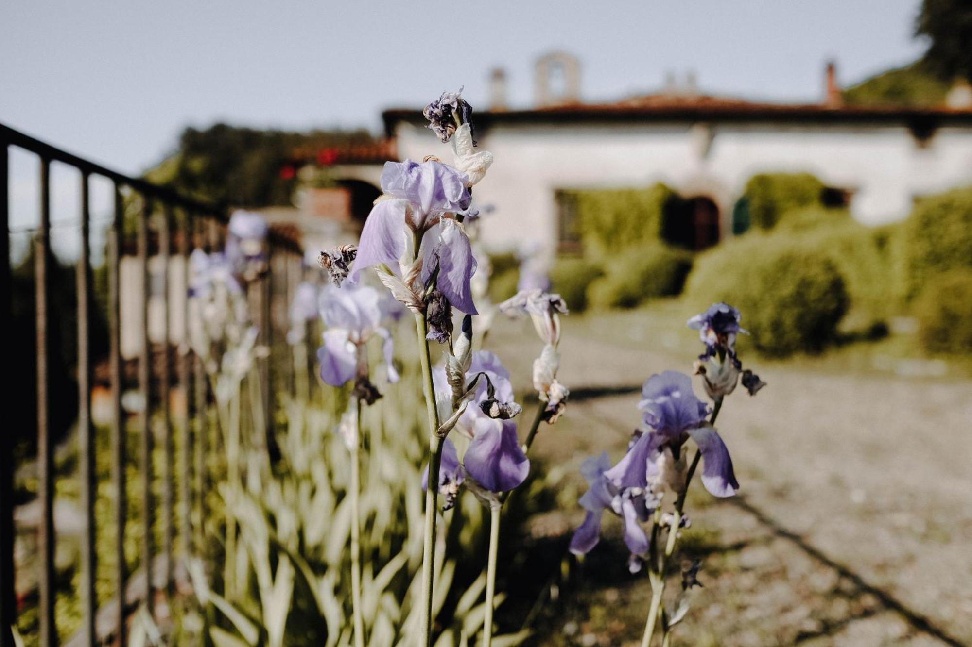 Bed & Breakfast Rucellai